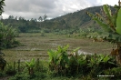 2005 Madagascar