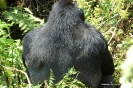 2006 Uganda i Rwanda