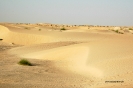 2008 Mali