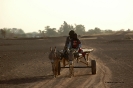 2008 Mali