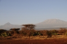 Kilimanjaro