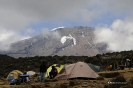 Kilimanjaro