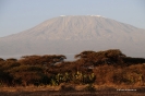 Kilimanjaro