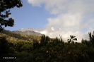 Kilimanjaro