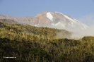 Kilimanjaro