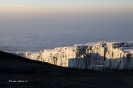 Kilimanjaro