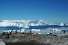 2006 Península Antàrtica