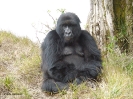 Uganda i Rwanda