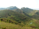 Uganda i Rwanda