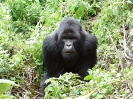 Uganda i Rwanda