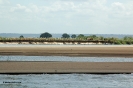 Moçambic
