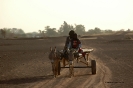 Mali