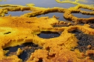 Danakil