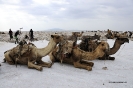 Danakil