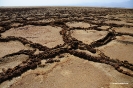 Danakil