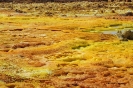 Danakil