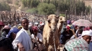 Danakil