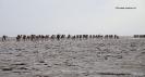 Danakil