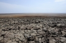 Danakil