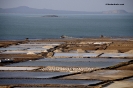 Danakil