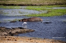 2014 Botswana