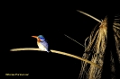 Botswana