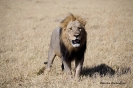 Botswana