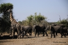 Botswana