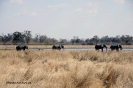Botswana