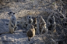 Botswana