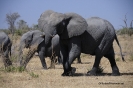 Botswana
