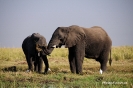Botswana