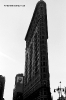 2004 New York