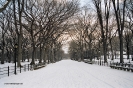 2004 New York