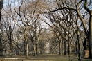 2004 New York