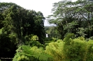 Hawai