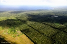 Hawai