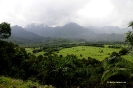 Hawai