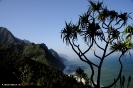 Hawai