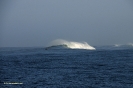 Hawai