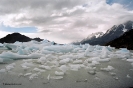 Patagonia