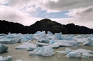 Patagonia