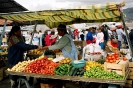 Equador i Galàpagos