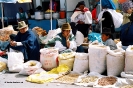 Equador i Galàpagos