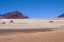 2011 Bolivia