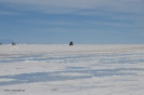 2011 Bolivia