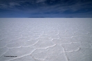2011 Bolivia