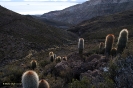 2011 Bolivia