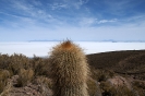 2011 Bolivia