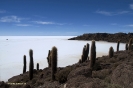 2011 Bolivia